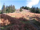 Kranjska reber (Kašni vrh) - Kašna planina Fotografirano na prehodu iz gozda na pašnik, 10 minut pred vrhom.